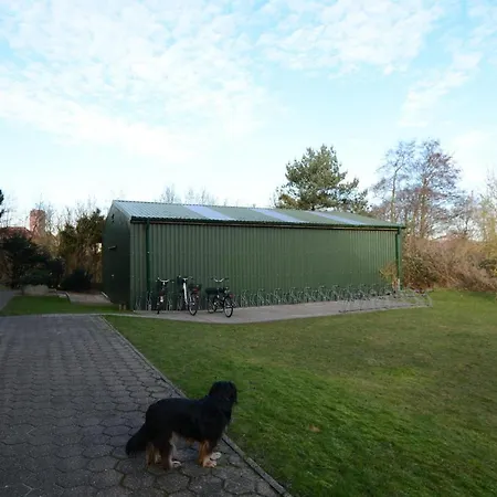 Borkum-vier 보르쿰